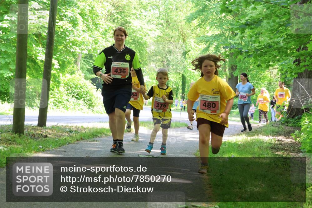 17.05.2025 - Störlauf Strokosch-Dieckow http://msf.ph/oto/7850270 17.05.2025 13:58:46 Laufen 436, 84, 376, 480, 479, 594 meine-sportfotos.de