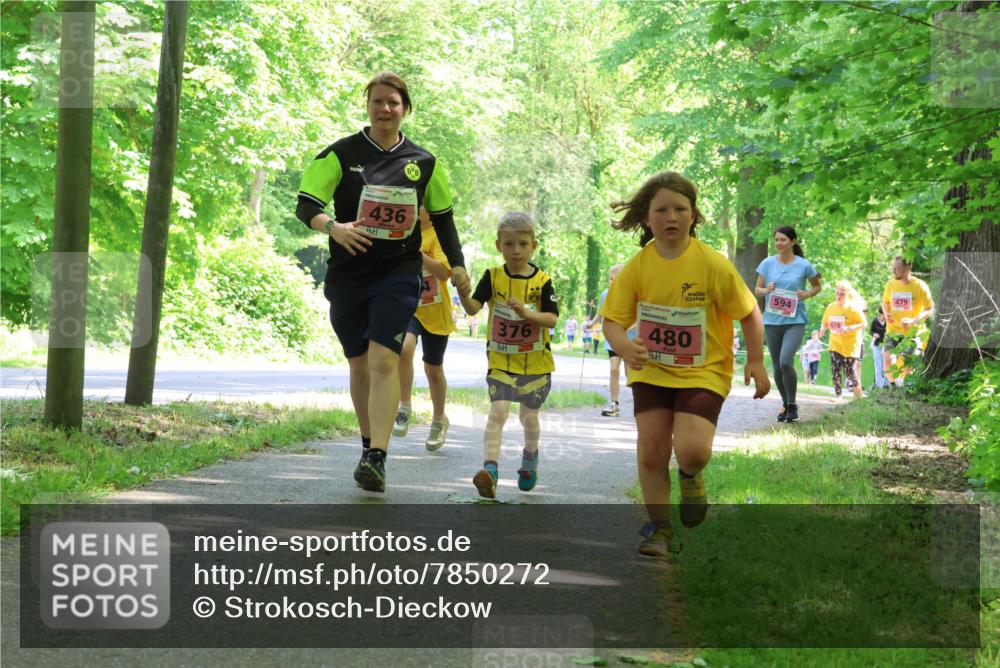 17.05.2025 - Störlauf Strokosch-Dieckow http://msf.ph/oto/7850272 17.05.2025 13:58:47 Laufen 436, 594, 478, 376, 480, 479 meine-sportfotos.de