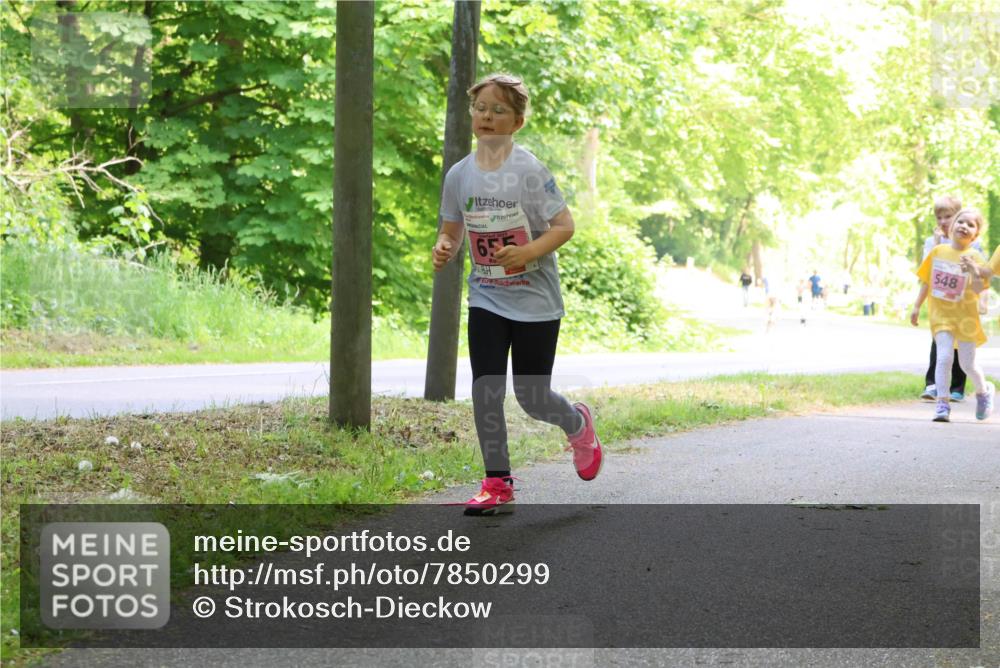 17.05.2025 - Störlauf Strokosch-Dieckow http://msf.ph/oto/7850299 17.05.2025 13:59:01 Laufen 655, 548 meine-sportfotos.de
