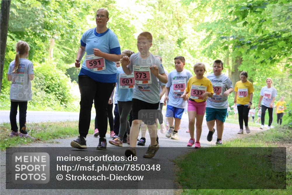 17.05.2025 - Störlauf Strokosch-Dieckow http://msf.ph/oto/7850348 17.05.2025 13:59:32 Laufen 591, 573, 601, 458, 533, 8, 157, 517 meine-sportfotos.de