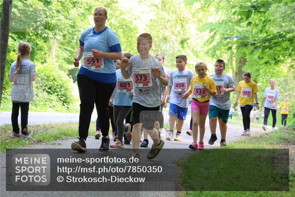 17.05.2025 - Störlauf Strokosch-Dieckow http://msf.ph/oto/7850350 17.05.2025 13:59:32 Laufen 591, 601, 573, 458, 533, 517, 437 meine-sportfotos.de
