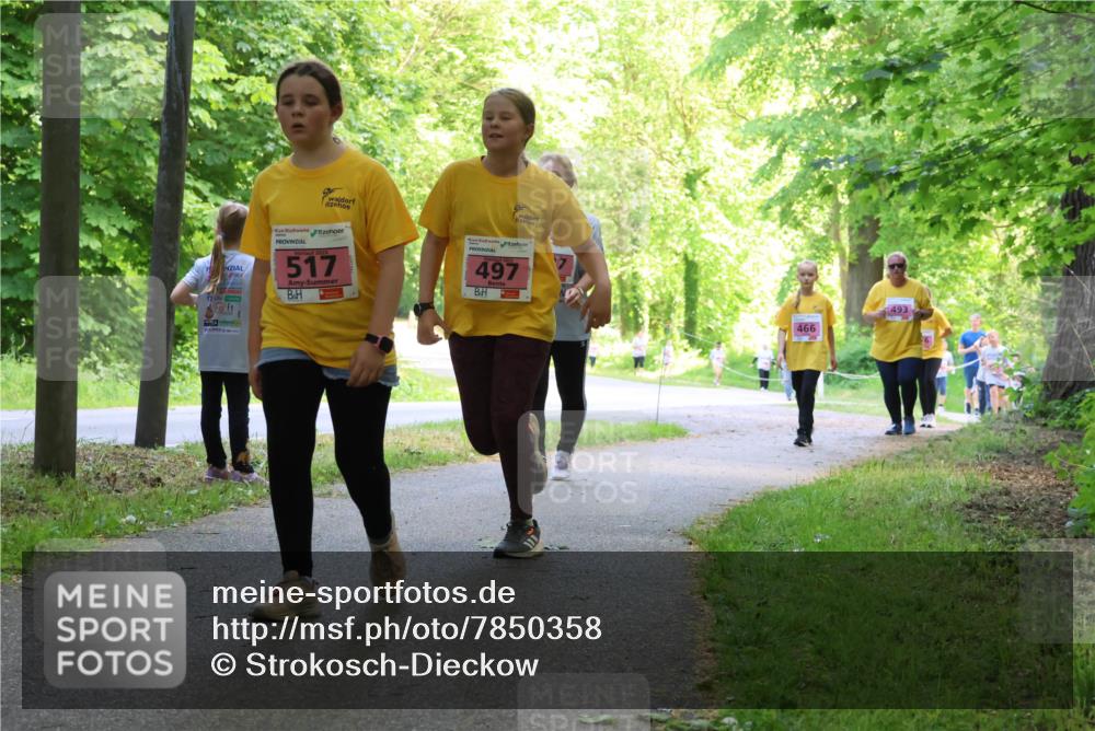 17.05.2025 - Störlauf Strokosch-Dieckow http://msf.ph/oto/7850358 17.05.2025 13:59:43 Laufen 517, 497, 466, 493 meine-sportfotos.de