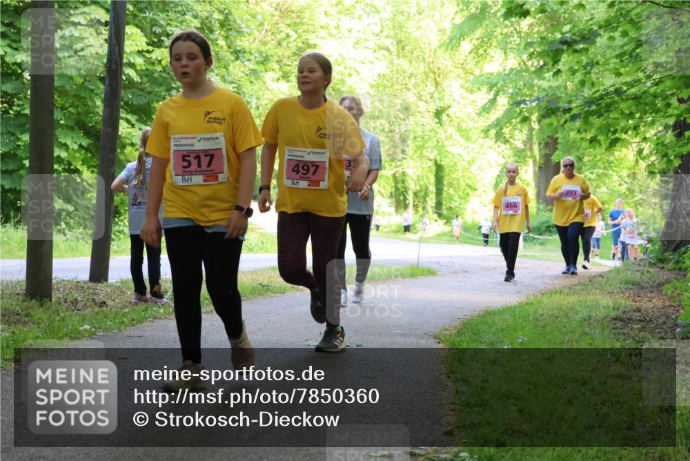 17.05.2025 - Störlauf Strokosch-Dieckow http://msf.ph/oto/7850360 17.05.2025 13:59:43 Laufen 517, 497, 466, 493 meine-sportfotos.de