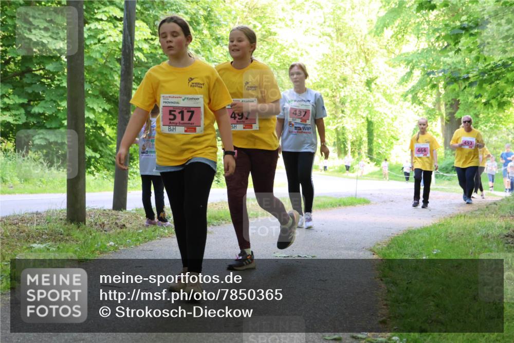 17.05.2025 - Störlauf Strokosch-Dieckow http://msf.ph/oto/7850365 17.05.2025 13:59:43 Laufen 517, 497, 437, 466, 493 meine-sportfotos.de