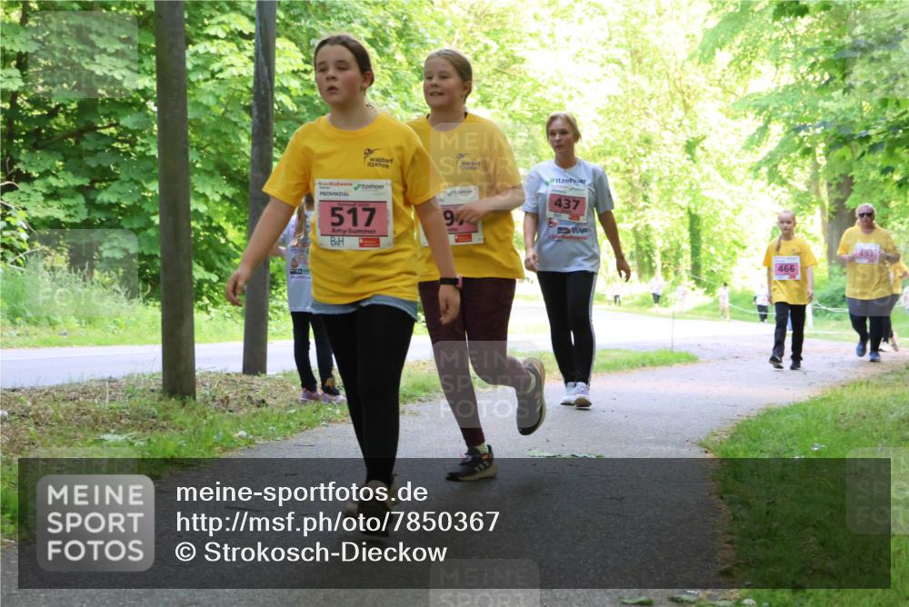 17.05.2025 - Störlauf Strokosch-Dieckow http://msf.ph/oto/7850367 17.05.2025 13:59:43 Laufen 517, 944, 437, 493, 466 meine-sportfotos.de