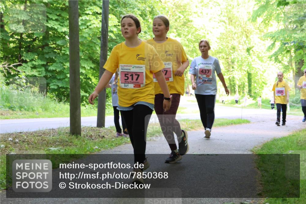 17.05.2025 - Störlauf Strokosch-Dieckow http://msf.ph/oto/7850368 17.05.2025 13:59:43 Laufen 517, 7, 437, 466 meine-sportfotos.de