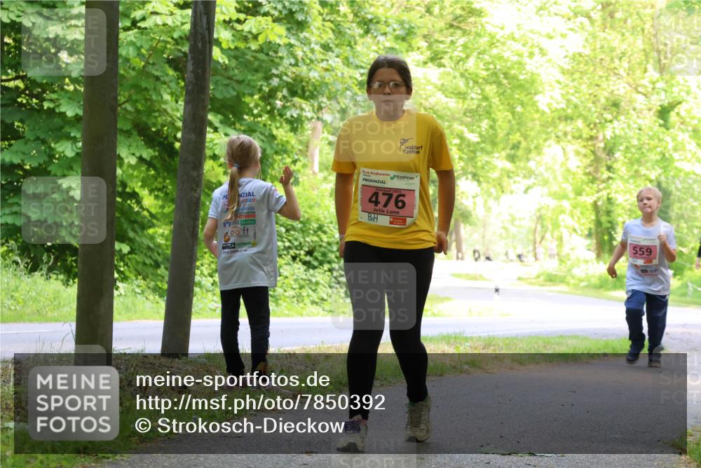 17.05.2025 - Störlauf Strokosch-Dieckow http://msf.ph/oto/7850392 17.05.2025 13:59:58 Laufen 476, 559 meine-sportfotos.de