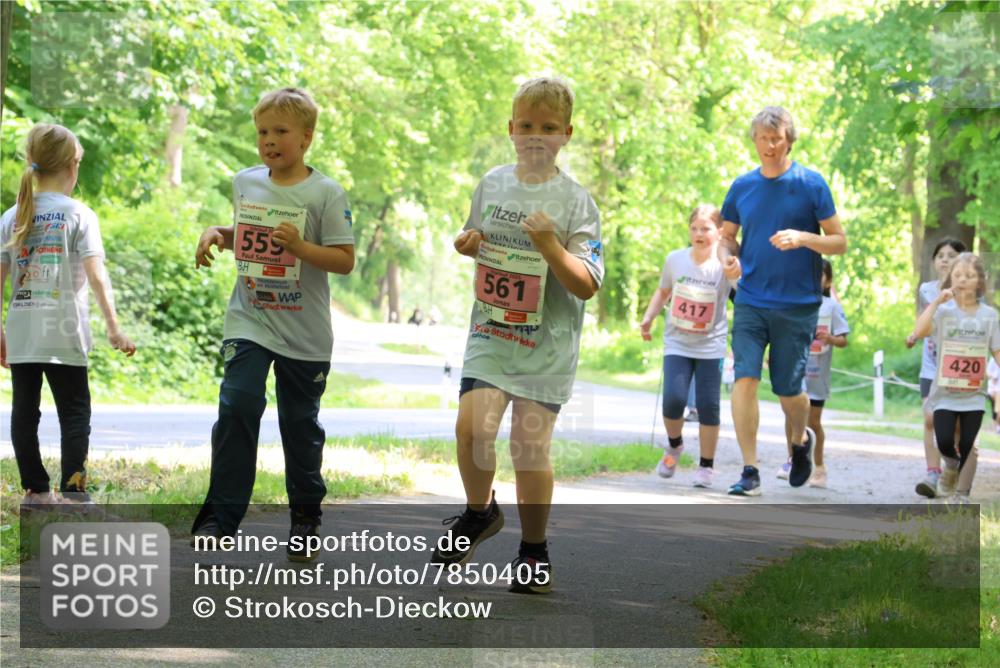17.05.2025 - Störlauf Strokosch-Dieckow http://msf.ph/oto/7850405 17.05.2025 14:00:01 Laufen 559, 2025, 561, 417, 420 meine-sportfotos.de