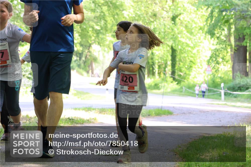 17.05.2025 - Störlauf Strokosch-Dieckow http://msf.ph/oto/7850418 17.05.2025 14:00:06 Laufen 420 meine-sportfotos.de
