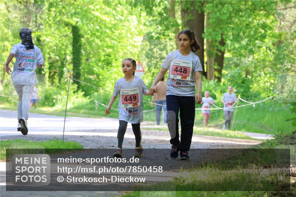 17.05.2025 - Störlauf Strokosch-Dieckow http://msf.ph/oto/7850458 17.05.2025 14:00:59 Laufen 25, 2025, 449, 2025, 448 meine-sportfotos.de