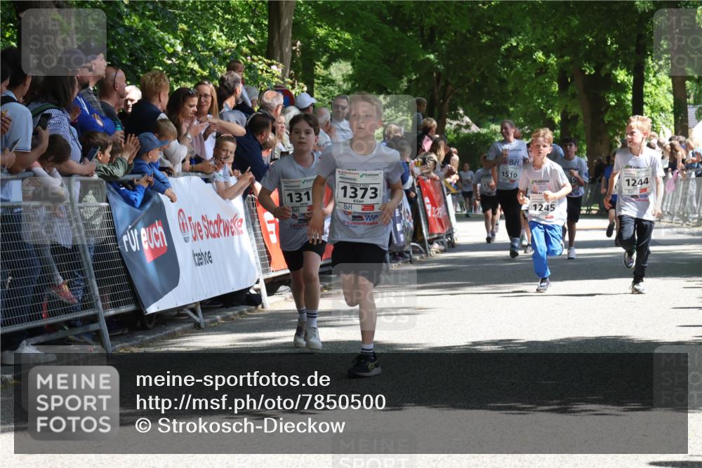 17.05.2025 - Störlauf Strokosch-Dieckow http://msf.ph/oto/7850500 17.05.2025 14:46:21 Ziel 131, 1373, 1510, 1245, 1244 meine-sportfotos.de