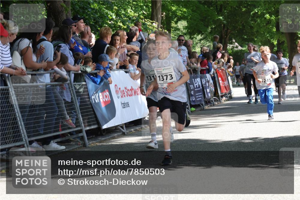 17.05.2025 - Störlauf Strokosch-Dieckow http://msf.ph/oto/7850503 17.05.2025 14:46:22 Ziel 131, 1373, 1510, 04, 1245, 14 meine-sportfotos.de