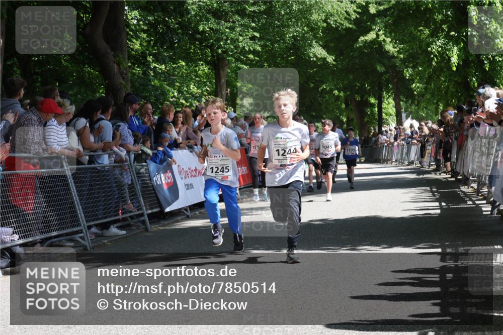17.05.2025 - Störlauf Strokosch-Dieckow http://msf.ph/oto/7850514 17.05.2025 14:46:24 Ziel 1245, 151, 1244, 1045, 1173 meine-sportfotos.de
