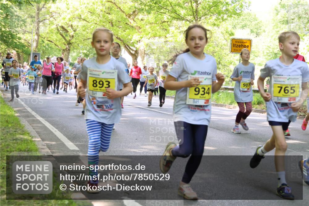 17.05.2025 - Störlauf Strokosch-Dieckow http://msf.ph/oto/7850529 17.05.2025 14:01:44 Laufen 916, 910, 2025, 893, 739, 738, 934, 907, 765 meine-sportfotos.de