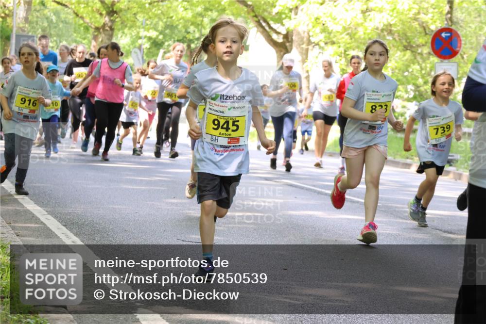 17.05.2025 - Störlauf Strokosch-Dieckow http://msf.ph/oto/7850539 17.05.2025 14:01:47 Laufen 916, 10, 907, 961, 2025, 945, 106, 823, 739 meine-sportfotos.de