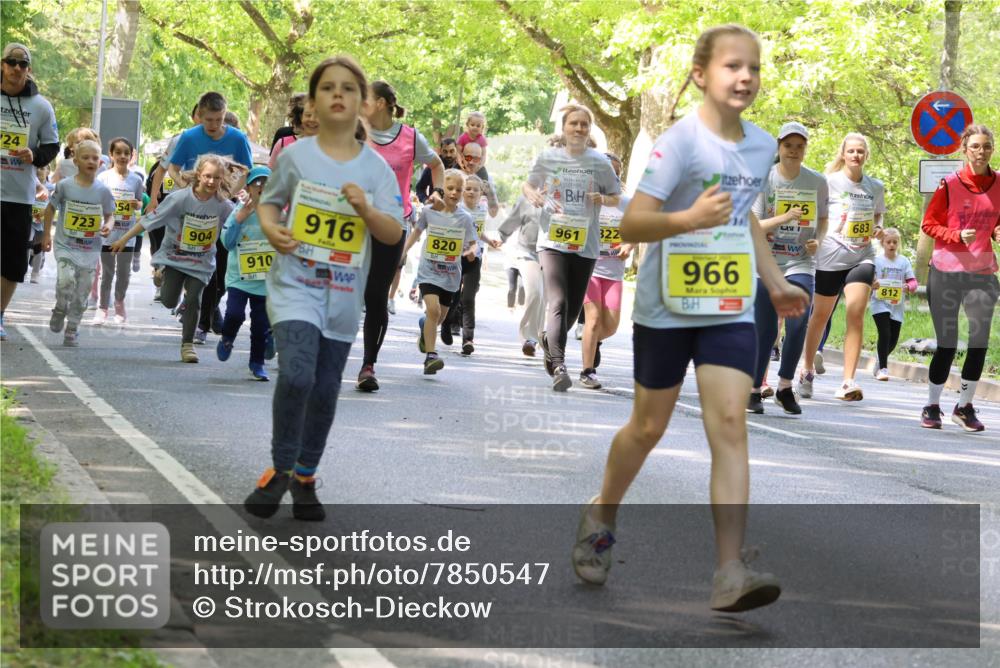 17.05.2025 - Störlauf Strokosch-Dieckow http://msf.ph/oto/7850547 17.05.2025 14:01:49 Laufen 24, 723, 54, 904, 916, 910, 820, 961, 322, 966, 725, 683, 812 meine-sportfotos.de