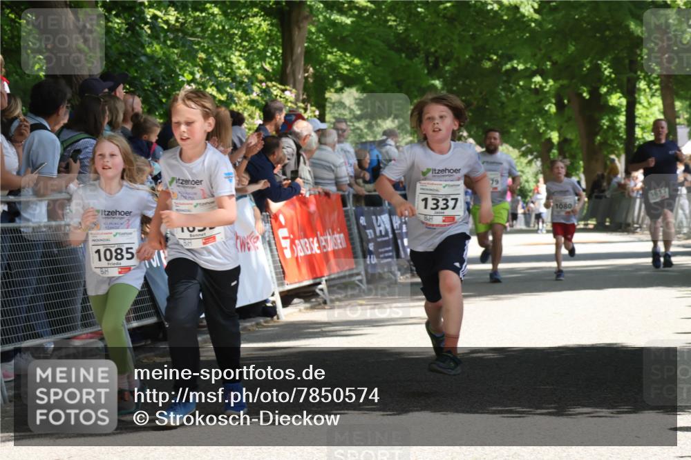 17.05.2025 - Störlauf Strokosch-Dieckow http://msf.ph/oto/7850574 17.05.2025 14:46:51 Ziel 1085, 1337, 79, 1080 meine-sportfotos.de