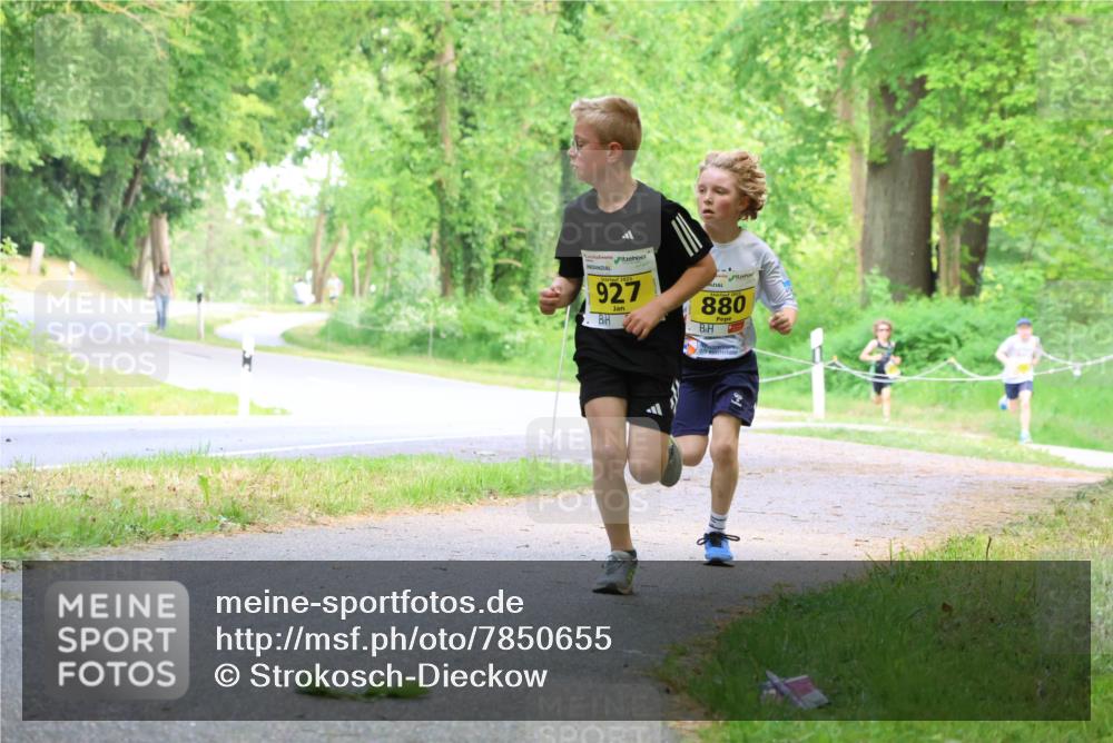 17.05.2025 - Störlauf Strokosch-Dieckow http://msf.ph/oto/7850655 17.05.2025 14:07:12 Laufen 927, 2025, 880 meine-sportfotos.de