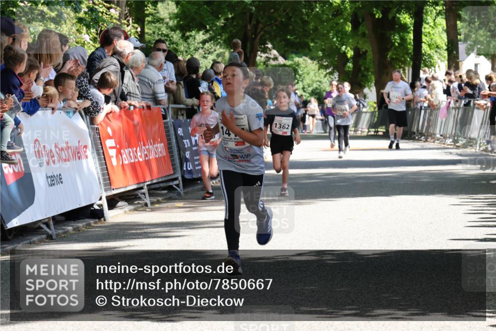 17.05.2025 - Störlauf Strokosch-Dieckow http://msf.ph/oto/7850667 17.05.2025 14:48:09 Ziel 1362, 4, 104 meine-sportfotos.de
