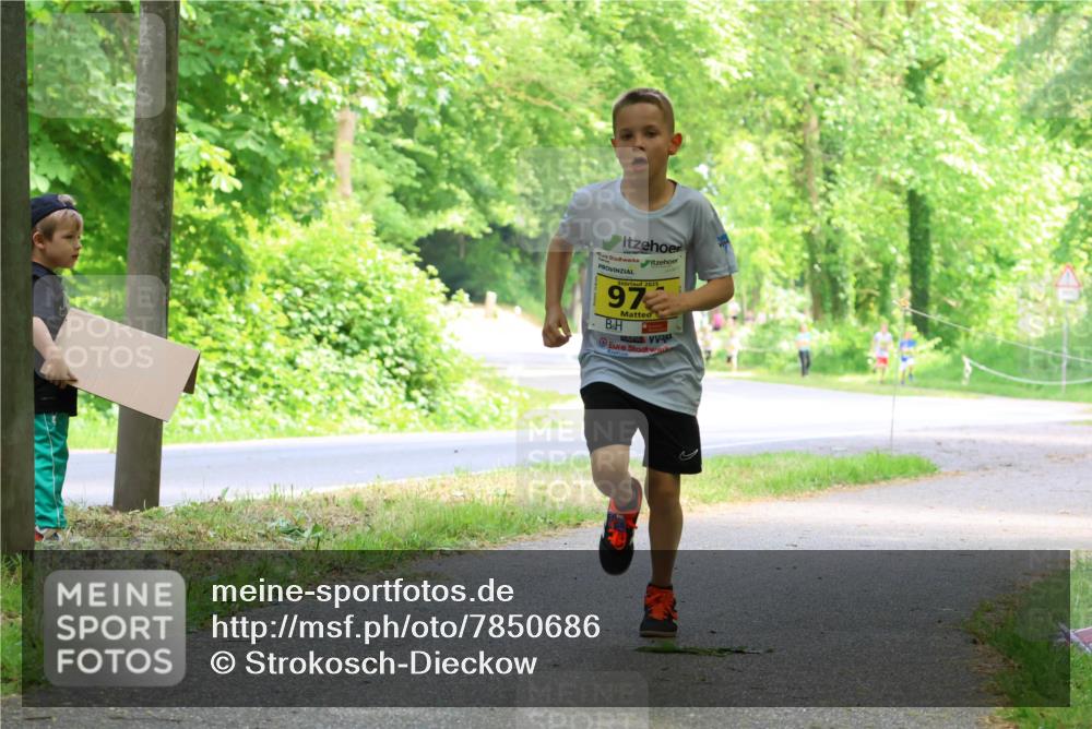17.05.2025 - Störlauf Strokosch-Dieckow http://msf.ph/oto/7850686 17.05.2025 14:08:00 Laufen 2025, 9722 meine-sportfotos.de