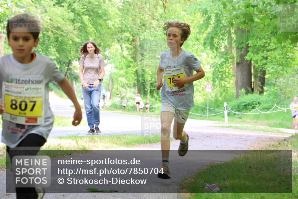 17.05.2025 - Störlauf Strokosch-Dieckow http://msf.ph/oto/7850704 17.05.2025 14:08:21 Laufen 807, 78, 2025 meine-sportfotos.de