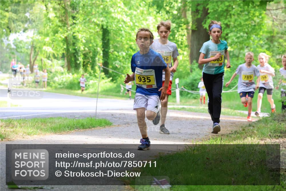 17.05.2025 - Störlauf Strokosch-Dieckow http://msf.ph/oto/7850711 17.05.2025 14:08:27 Laufen 935, 96, 789, 694 meine-sportfotos.de