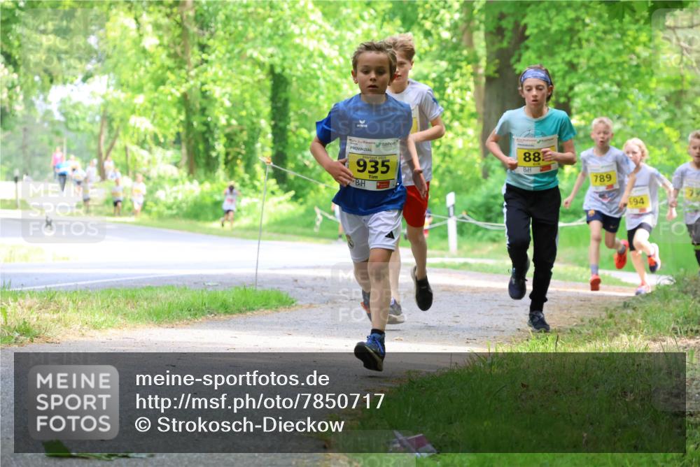 17.05.2025 - Störlauf Strokosch-Dieckow http://msf.ph/oto/7850717 17.05.2025 14:08:28 Laufen 2025, 935, 88, 789, 694 meine-sportfotos.de