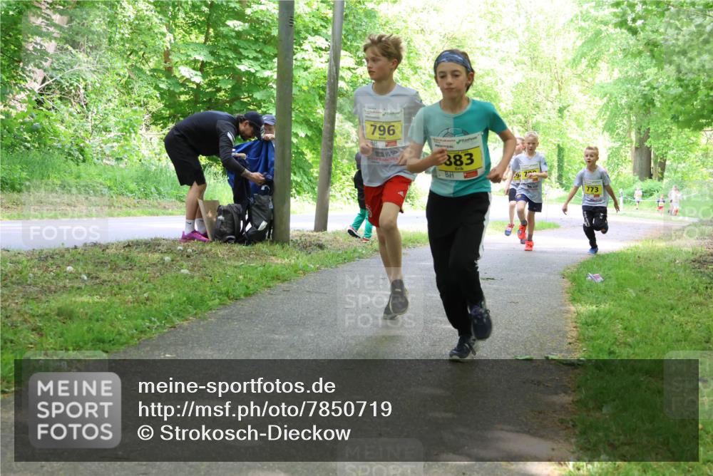 17.05.2025 - Störlauf Strokosch-Dieckow http://msf.ph/oto/7850719 17.05.2025 14:08:32 Laufen 796, 2023, 383, 72, 773 meine-sportfotos.de
