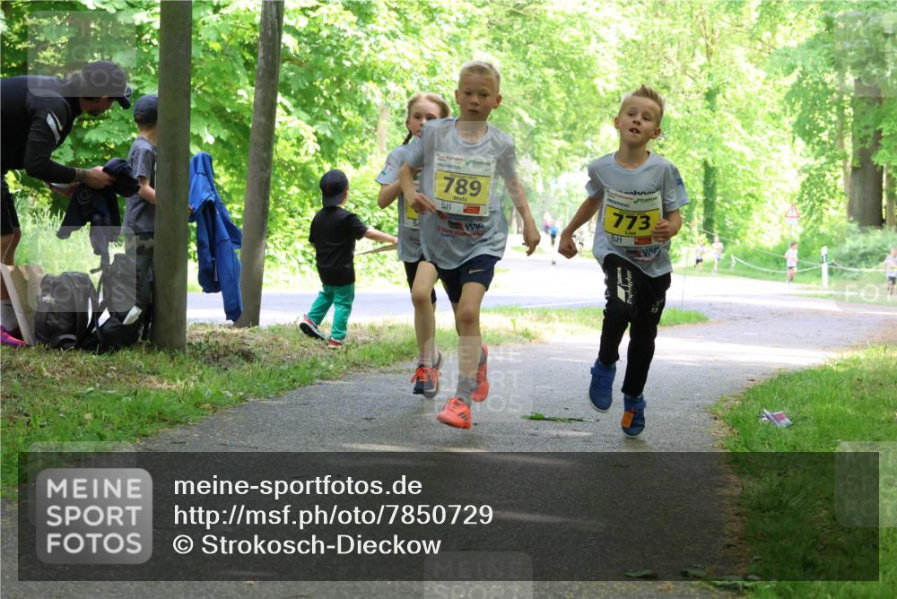 17.05.2025 - Störlauf Strokosch-Dieckow http://msf.ph/oto/7850729 17.05.2025 14:08:34 Laufen 789, 773 meine-sportfotos.de