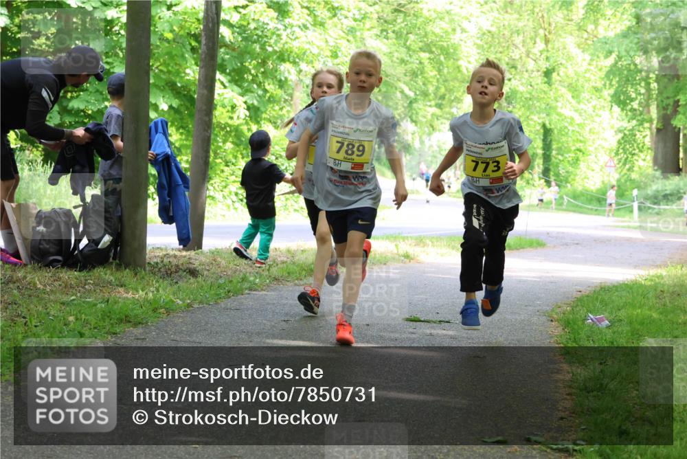 17.05.2025 - Störlauf Strokosch-Dieckow http://msf.ph/oto/7850731 17.05.2025 14:08:34 Laufen 789, 773 meine-sportfotos.de
