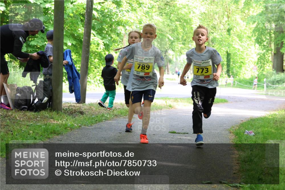 17.05.2025 - Störlauf Strokosch-Dieckow http://msf.ph/oto/7850733 17.05.2025 14:08:34 Laufen 789, 773 meine-sportfotos.de