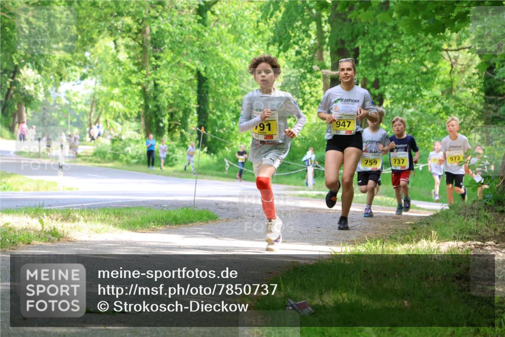 17.05.2025 - Störlauf Strokosch-Dieckow http://msf.ph/oto/7850737 17.05.2025 14:08:46 Laufen 91, 11, 947, 972, 759, 737 meine-sportfotos.de
