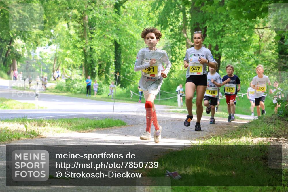 17.05.2025 - Störlauf Strokosch-Dieckow http://msf.ph/oto/7850739 17.05.2025 14:08:46 Laufen 91, 947, 972, 737, 759, 2018 meine-sportfotos.de