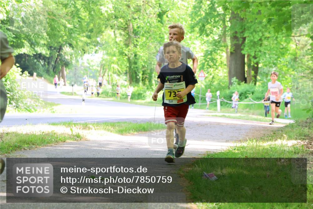 17.05.2025 - Störlauf Strokosch-Dieckow http://msf.ph/oto/7850759 17.05.2025 14:08:52 Laufen 2025, 73, 570 meine-sportfotos.de