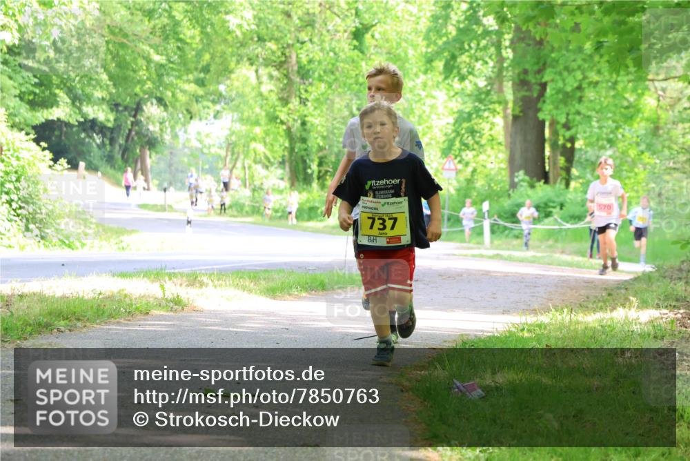17.05.2025 - Störlauf Strokosch-Dieckow http://msf.ph/oto/7850763 17.05.2025 14:08:52 Laufen 2025, 737, 570 meine-sportfotos.de