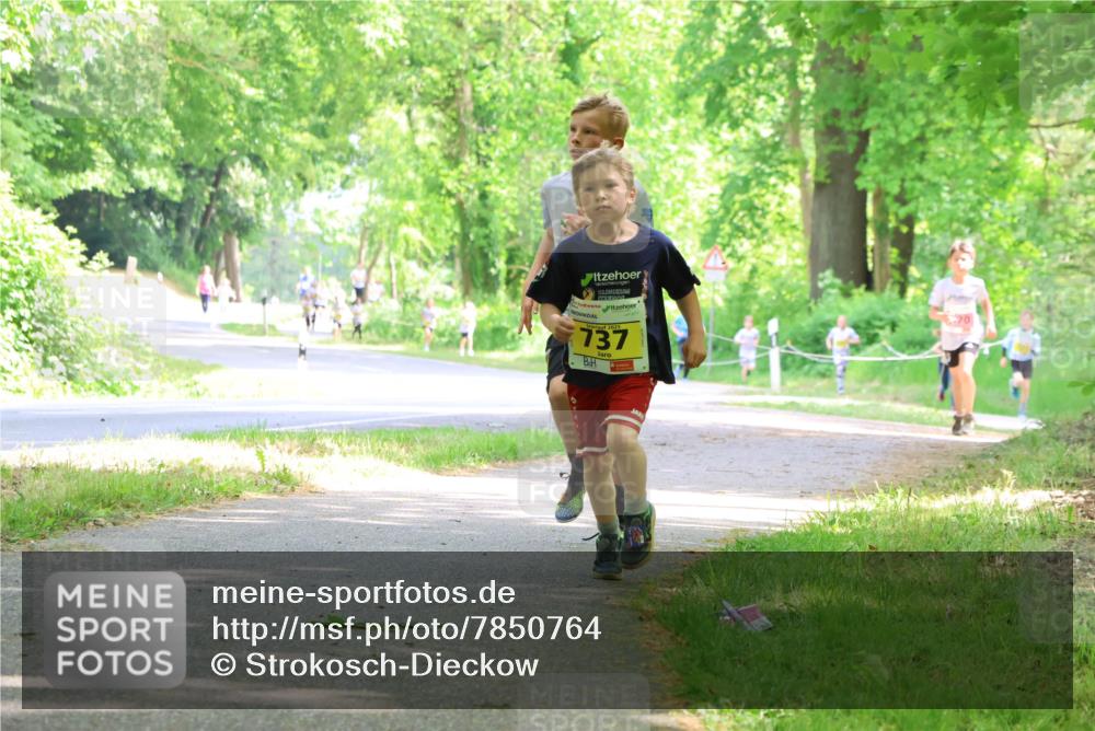 17.05.2025 - Störlauf Strokosch-Dieckow http://msf.ph/oto/7850764 17.05.2025 14:08:53 Laufen 1, 2025, 737, 70 meine-sportfotos.de