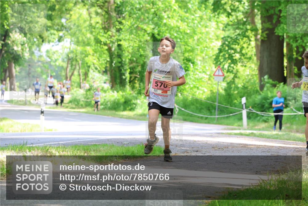 17.05.2025 - Störlauf Strokosch-Dieckow http://msf.ph/oto/7850766 17.05.2025 14:08:57 Laufen 77, 570 meine-sportfotos.de
