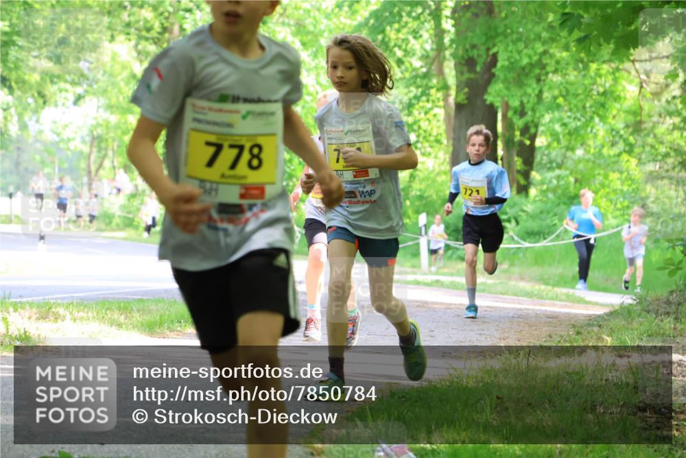 17.05.2025 - Störlauf Strokosch-Dieckow http://msf.ph/oto/7850784 17.05.2025 14:09:01 Laufen 778, 7 meine-sportfotos.de