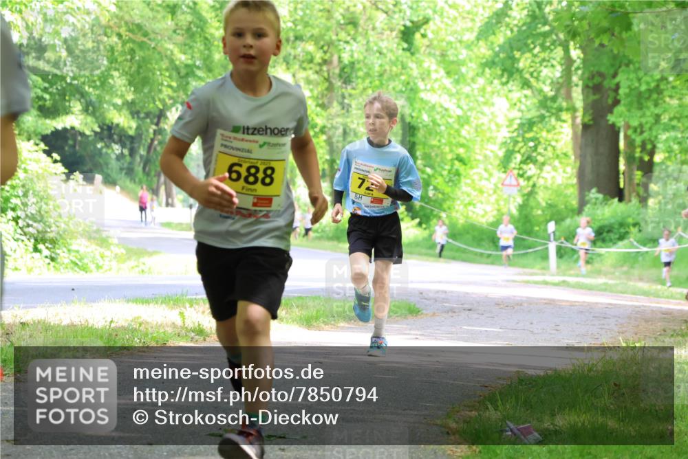 17.05.2025 - Störlauf Strokosch-Dieckow http://msf.ph/oto/7850794 17.05.2025 14:09:04 Laufen 2025, 688, 72 meine-sportfotos.de