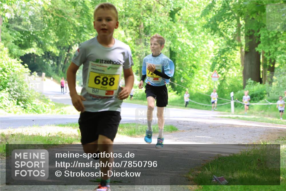 17.05.2025 - Störlauf Strokosch-Dieckow http://msf.ph/oto/7850796 17.05.2025 14:09:04 Laufen 2025, 688 meine-sportfotos.de