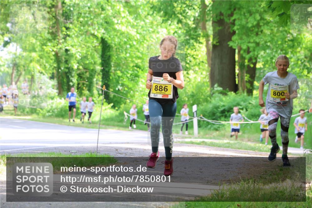 17.05.2025 - Störlauf Strokosch-Dieckow http://msf.ph/oto/7850801 17.05.2025 14:09:08 Laufen 2025, 886, 800 meine-sportfotos.de
