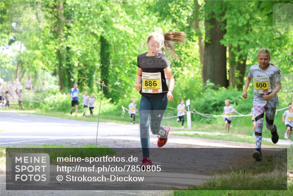 17.05.2025 - Störlauf Strokosch-Dieckow http://msf.ph/oto/7850805 17.05.2025 14:09:08 Laufen 886, 800 meine-sportfotos.de
