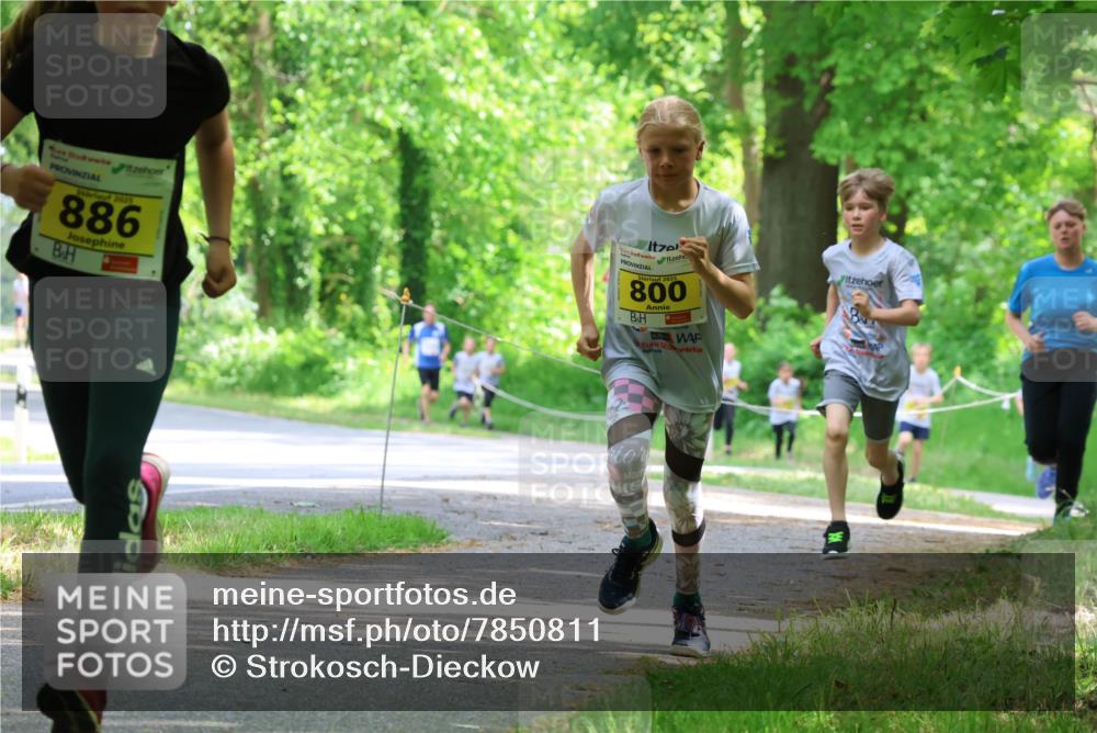 17.05.2025 - Störlauf Strokosch-Dieckow http://msf.ph/oto/7850811 17.05.2025 14:09:10 Laufen 2025, 886, 2025, 800 meine-sportfotos.de