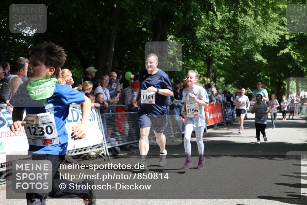 17.05.2025 - Störlauf Strokosch-Dieckow http://msf.ph/oto/7850814 17.05.2025 14:49:31 Ziel 730, 2025, 1230, 1161, 1196 meine-sportfotos.de