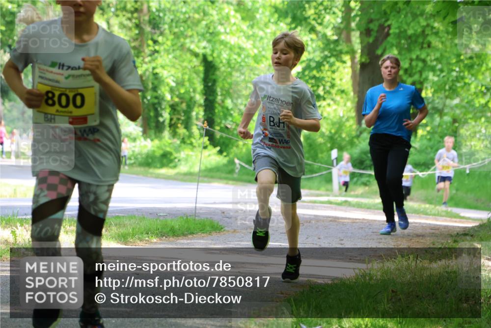 17.05.2025 - Störlauf Strokosch-Dieckow http://msf.ph/oto/7850817 17.05.2025 14:09:12 Laufen 800 meine-sportfotos.de
