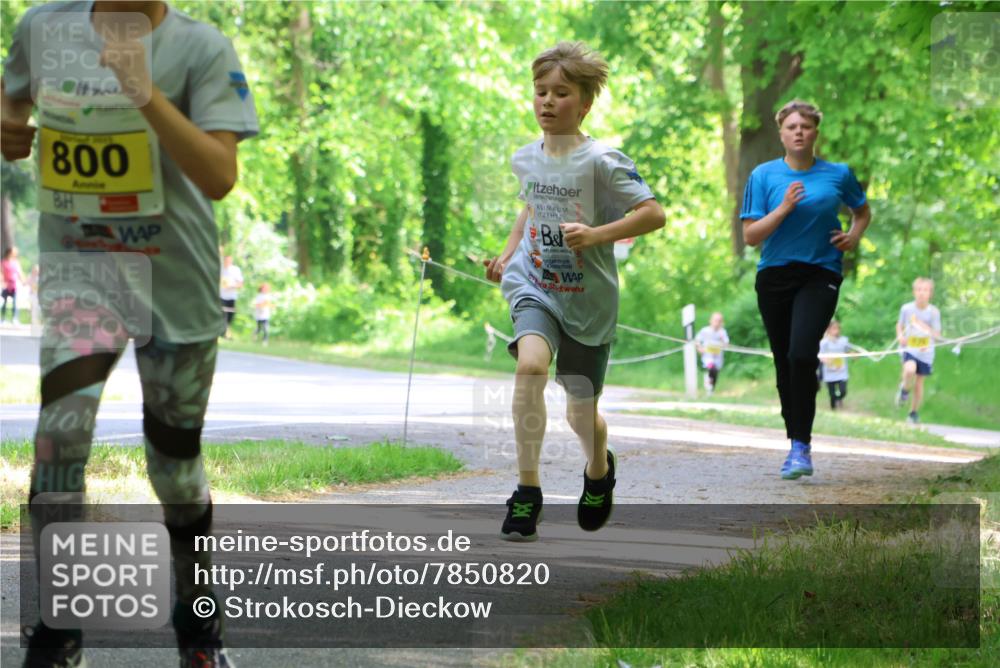 17.05.2025 - Störlauf Strokosch-Dieckow http://msf.ph/oto/7850820 17.05.2025 14:09:12 Laufen 800 meine-sportfotos.de