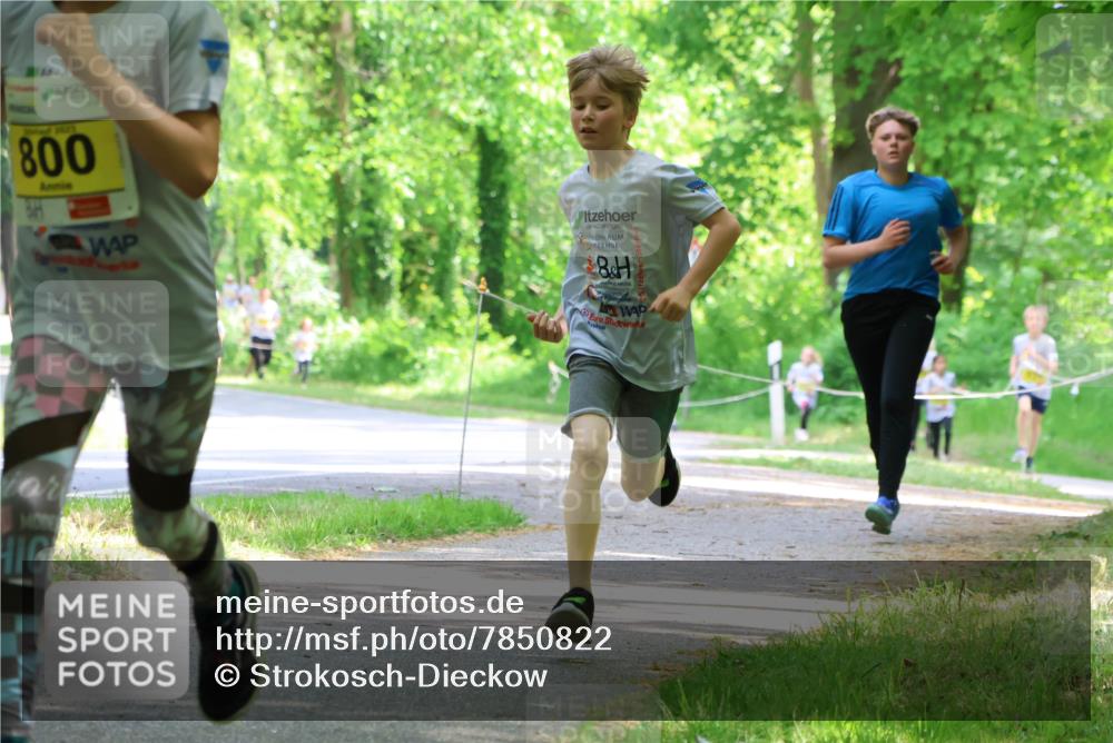 17.05.2025 - Störlauf Strokosch-Dieckow http://msf.ph/oto/7850822 17.05.2025 14:09:12 Laufen 800 meine-sportfotos.de
