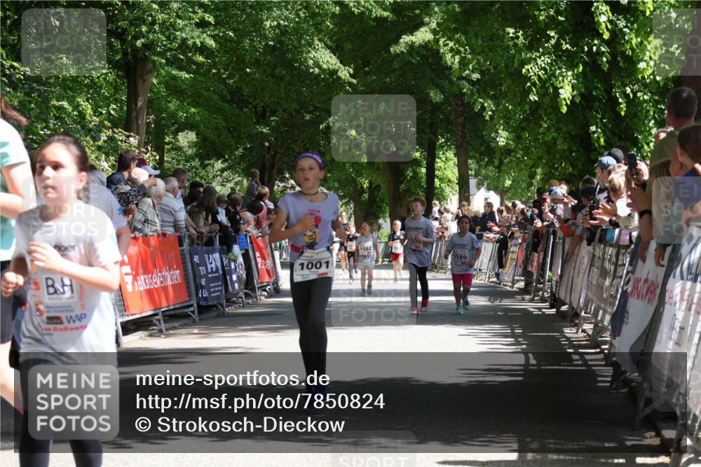 17.05.2025 - Störlauf Strokosch-Dieckow http://msf.ph/oto/7850824 17.05.2025 14:49:34 Ziel 4, 1001, 1082, 159, 1305, 1189 meine-sportfotos.de