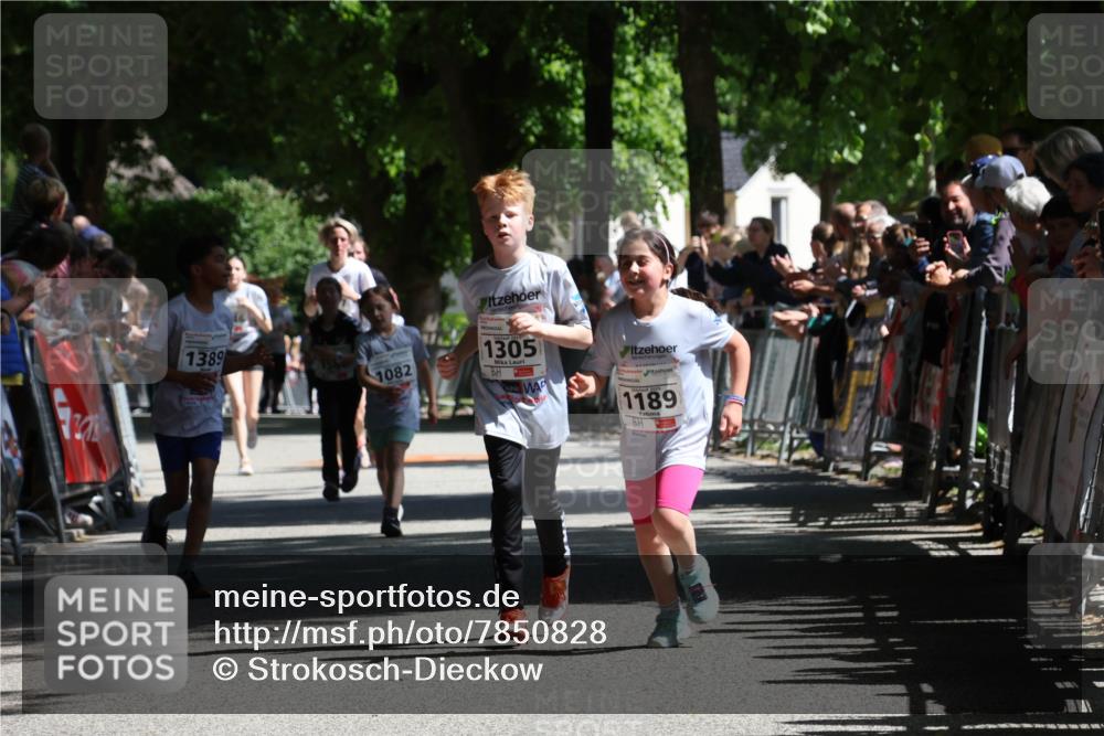 17.05.2025 - Störlauf Strokosch-Dieckow http://msf.ph/oto/7850828 17.05.2025 14:49:35 Ziel 1389, 1082, 1305, 1189 meine-sportfotos.de