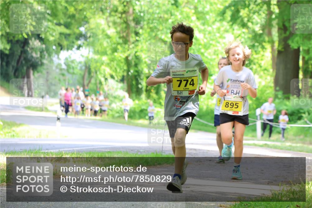 17.05.2025 - Störlauf Strokosch-Dieckow http://msf.ph/oto/7850829 17.05.2025 14:09:24 Laufen 2025, 774, 895 meine-sportfotos.de